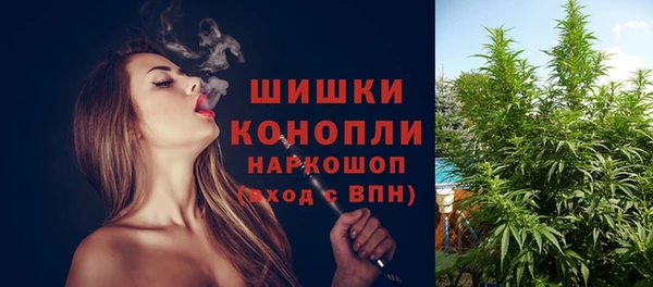 PSILOCYBIN Белоозёрский