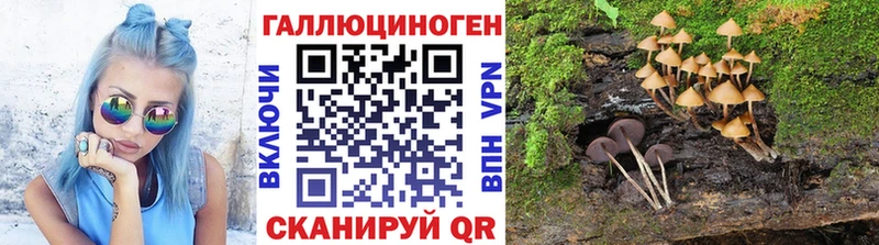 дарнет шоп  Болгар  Галлюциногенные грибы Magic Shrooms 